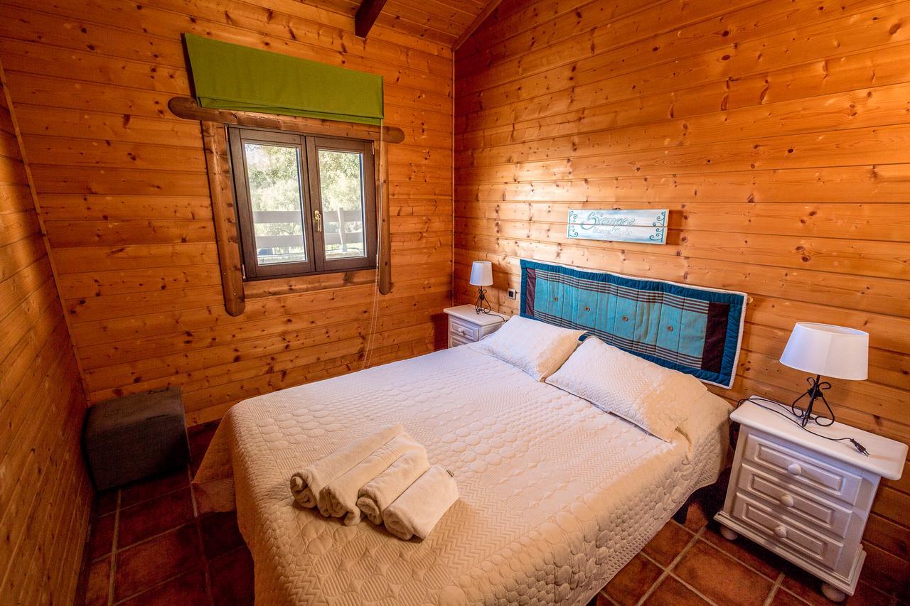 Gospodarstwo wiejskie Rural